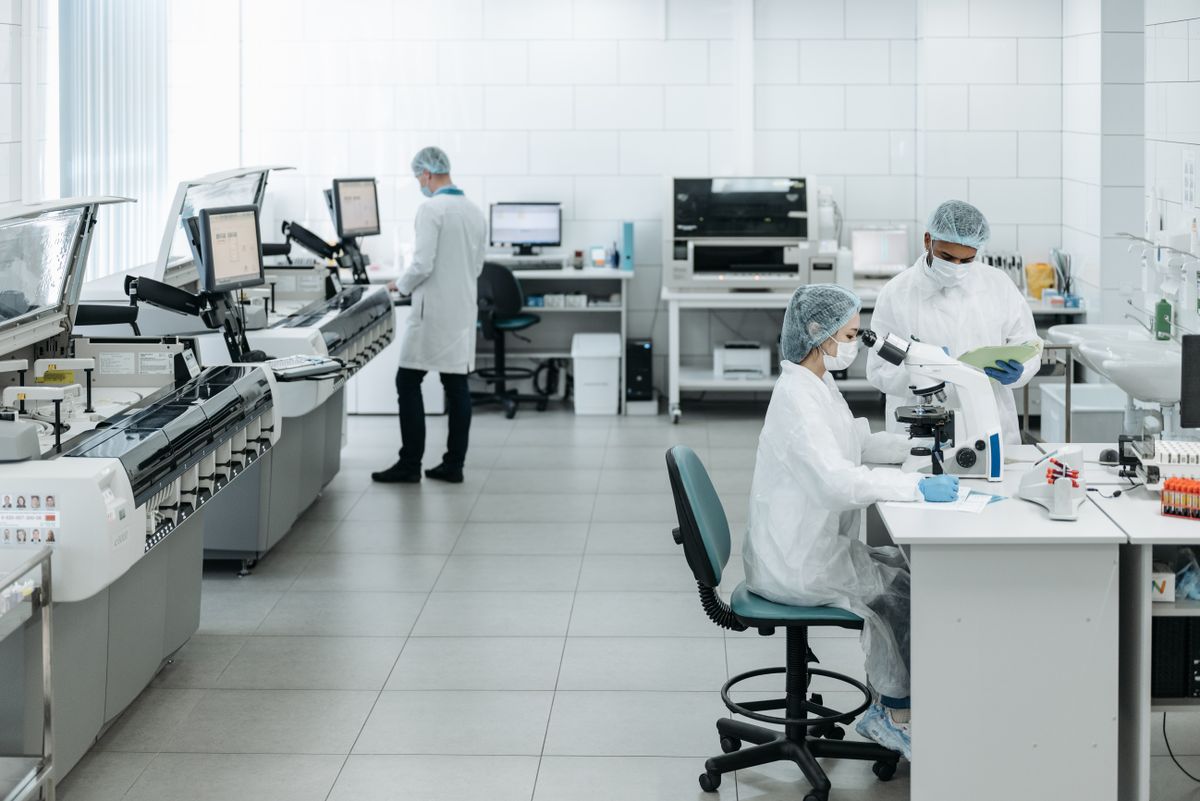 Scientists at work in a modern bioinformatics laboratory